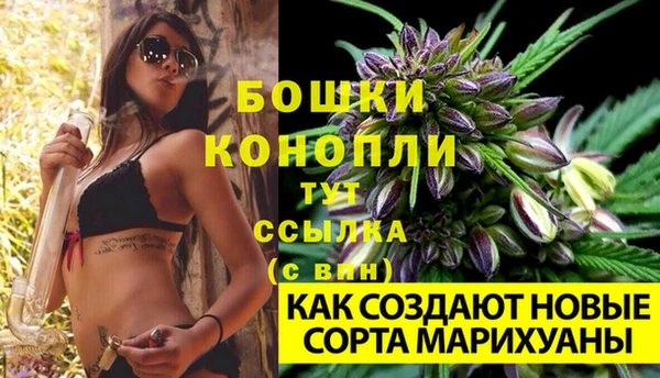 Альфа ПВП Магас