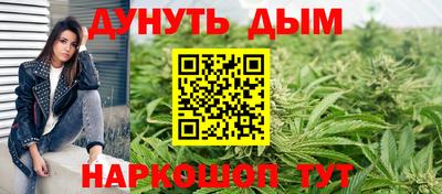 сатива Абинск