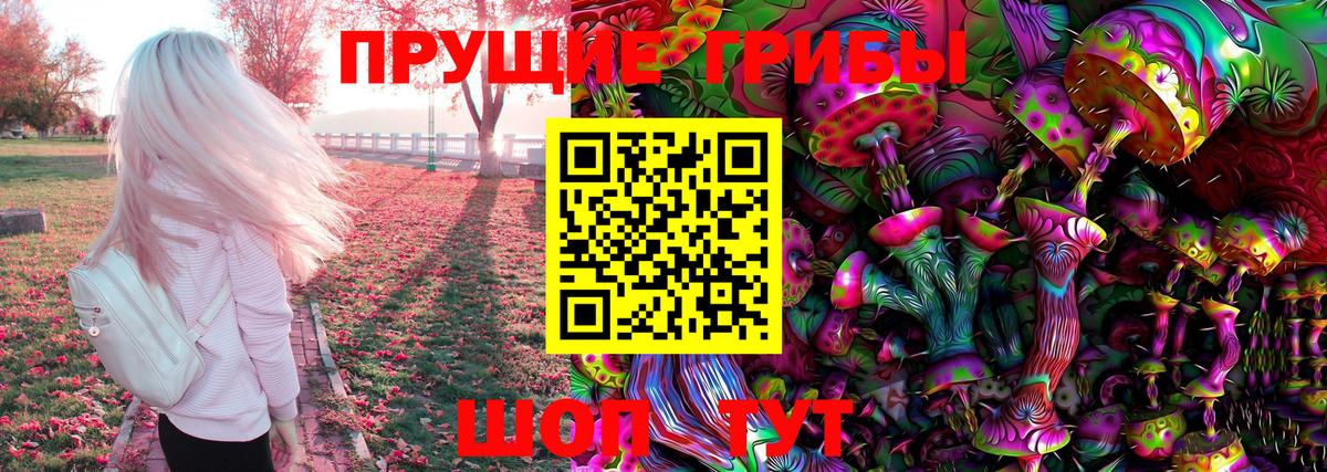 Псилоцибиновые грибы Psilocybine cubensis Астрахань