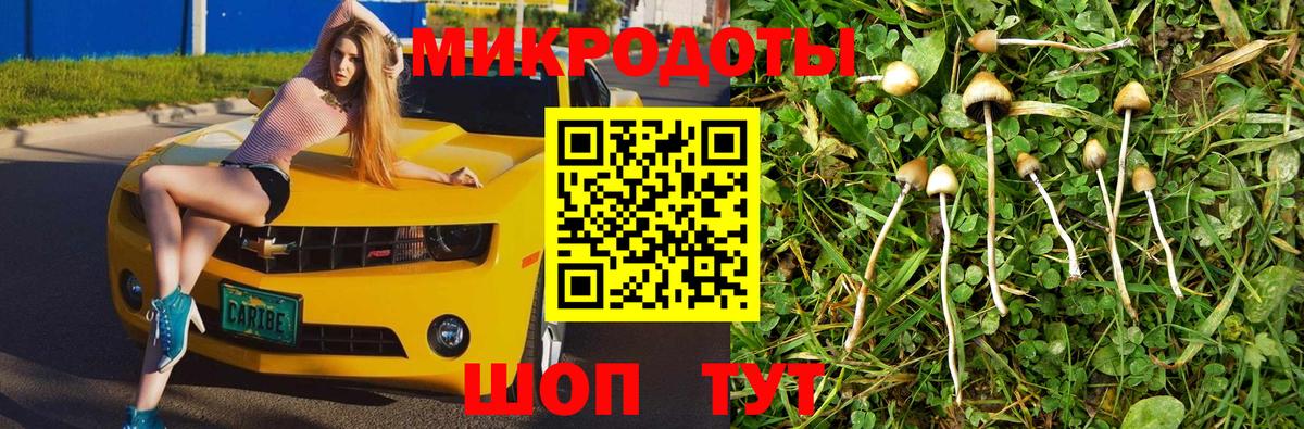 Псилоцибиновые грибы мухоморы  продажа наркотиков  Астрахань 